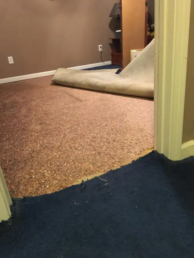 Carpet pad removal revealing water damage during Drying & Dehumidification in Homer Glen