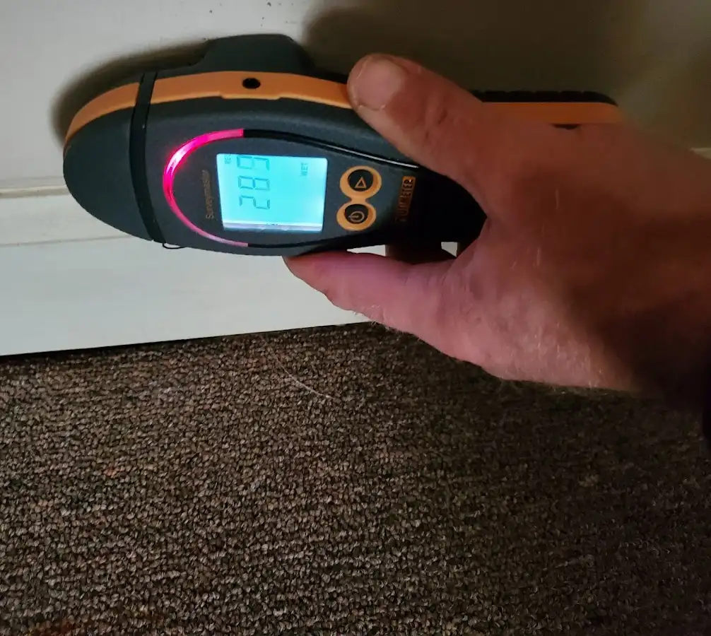 Moisture detection at baseboard during Sewage Cleanup & Sanitation in Homer Glen